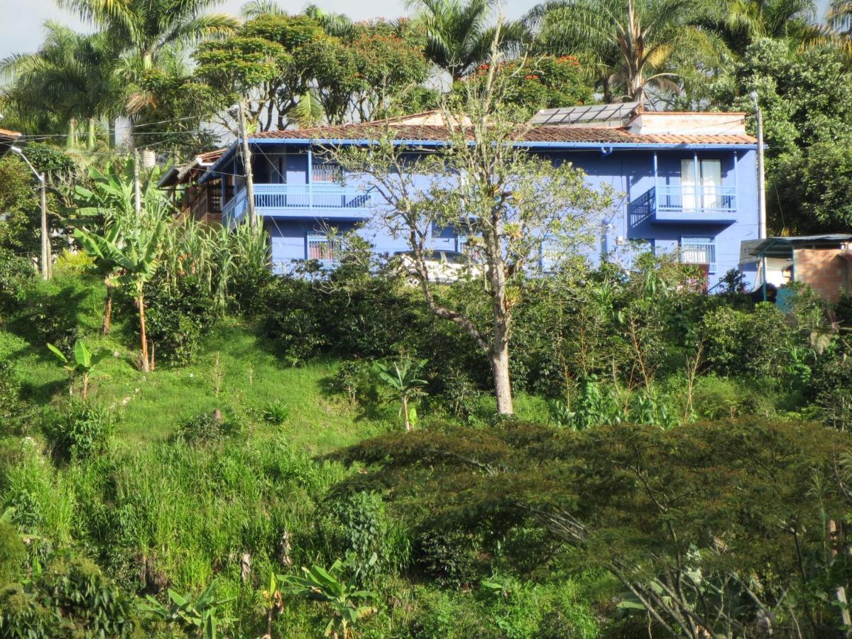Отель Casa Azul La Garrucha Хардин Экстерьер фото